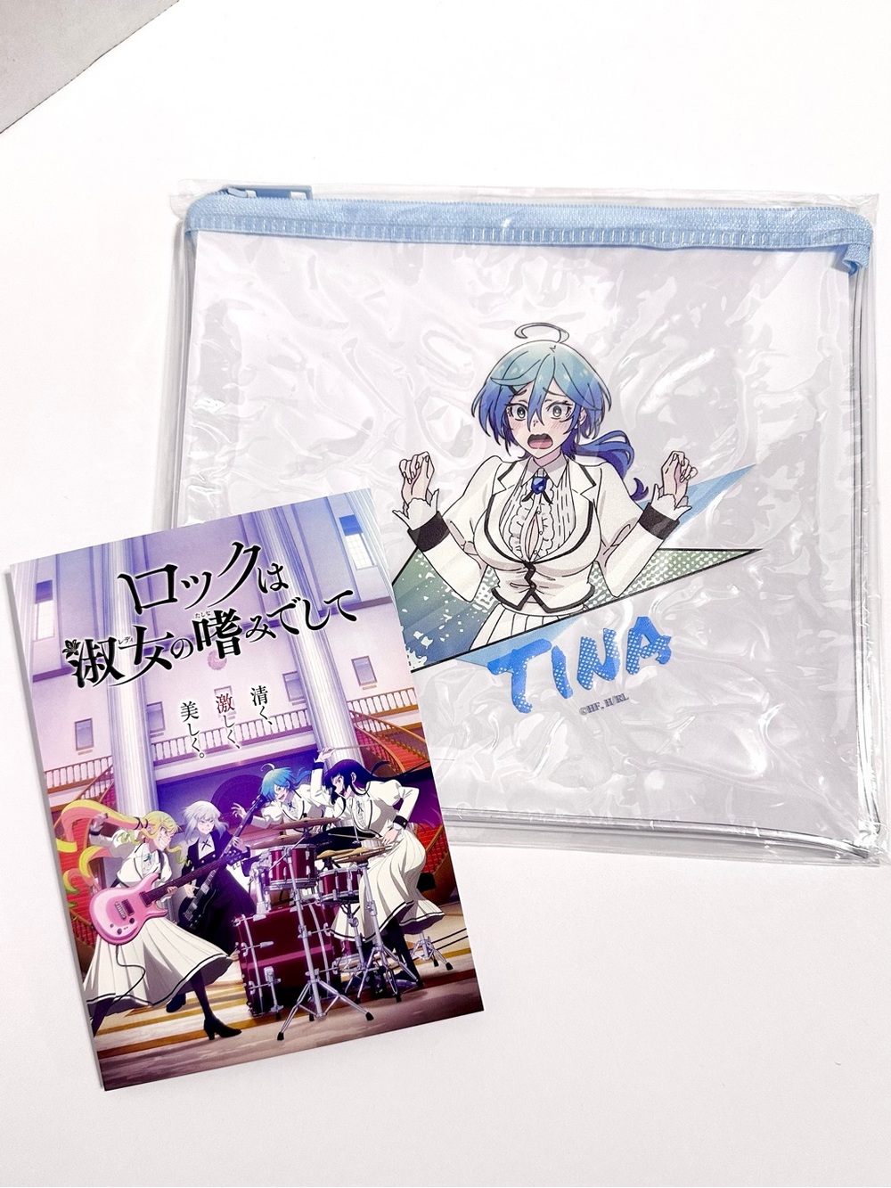 Rock Is a Lady's Modesty Clear Pencil Makeup Pouch with bonus postcard - Tina